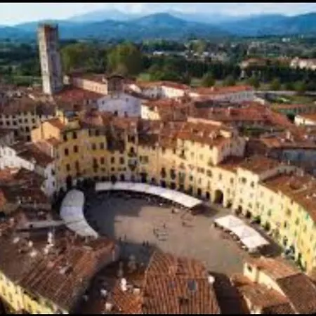 - I Girasoli Capannori